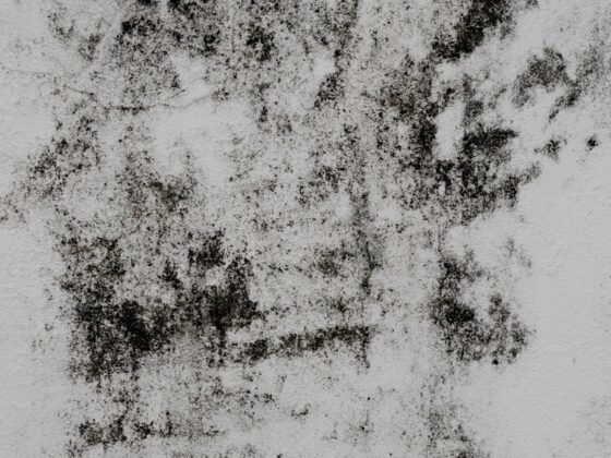 a black and white photo of a wall