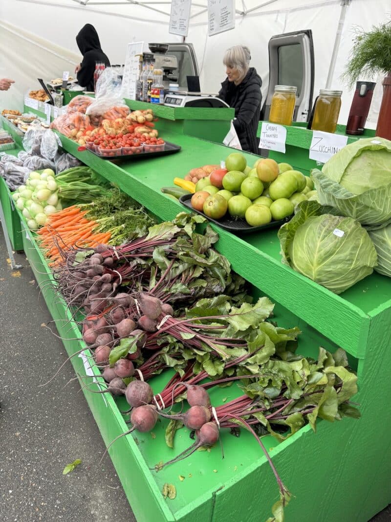 farmer's market fairbanks alaska healthy voyager