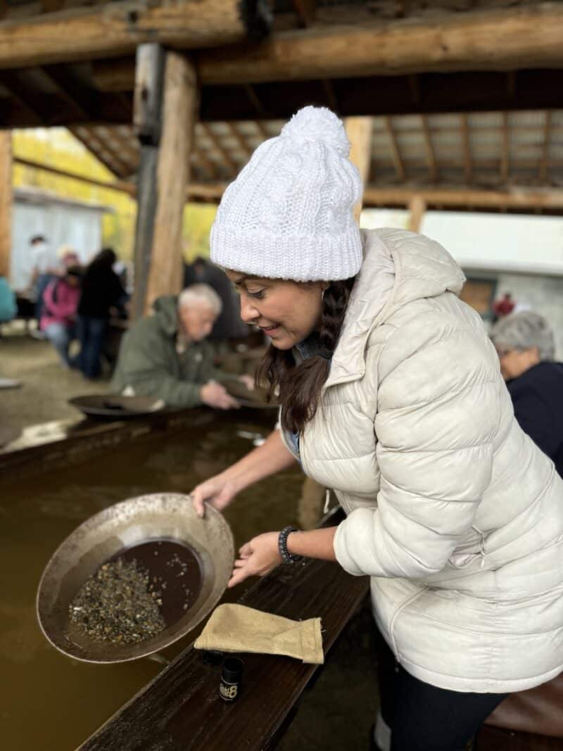 gold dredge 8 gold panning fairbanks alaska healthy voyager
