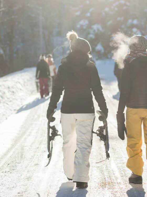 ski