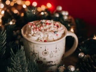 Holiday Sips best vegan holiday beverage recipes healthy voyager