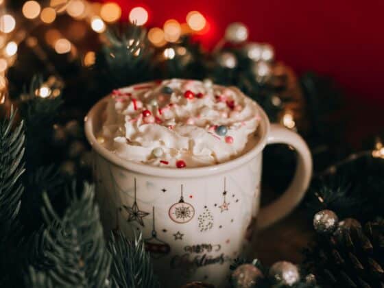 best vegan holiday beverage recipes healthy voyager
