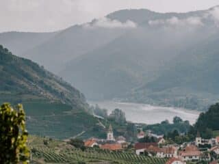 Wachau Valley Wine Ride Wachau Valley