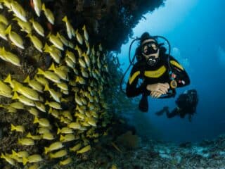 The Benefits of Scuba Diving scuba