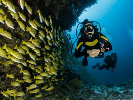 scuba
