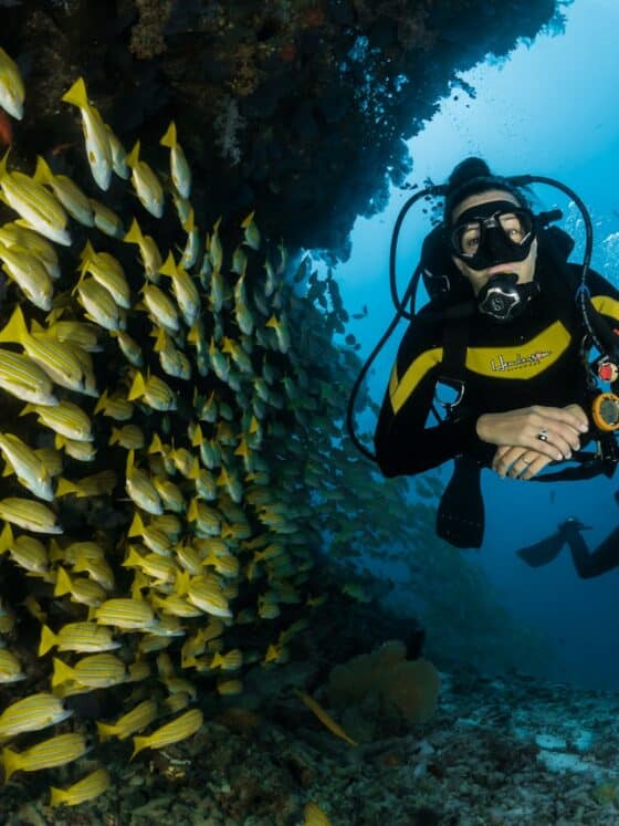 scuba