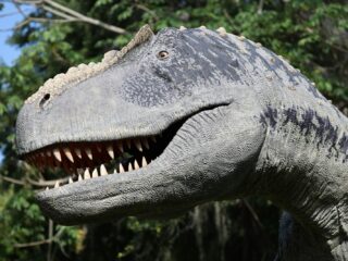 When Custom Animatronics Become the Signature of a Theme Park dinosaur