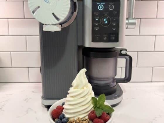 Vegan ninja creami ice cream recipes
