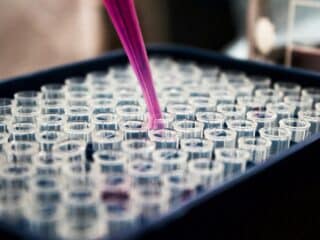 Why Scientific Innovation Matters for a Healthier World science