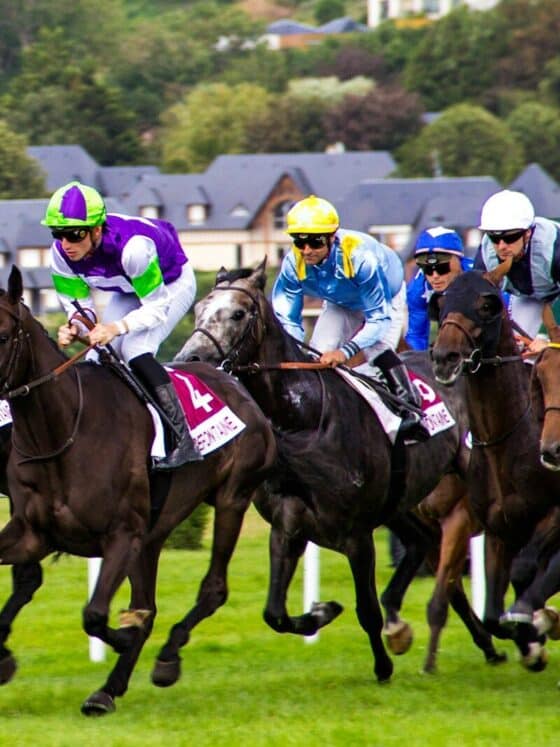 horse racing