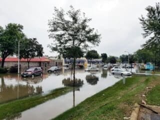 Why Homeowners Prefer Professional Water Damage Restoration Services water damage